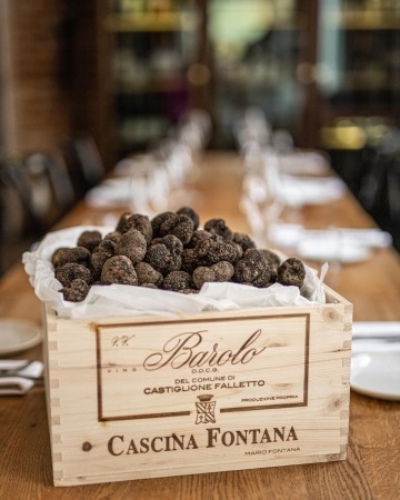 Speciality s lanýži a houbami